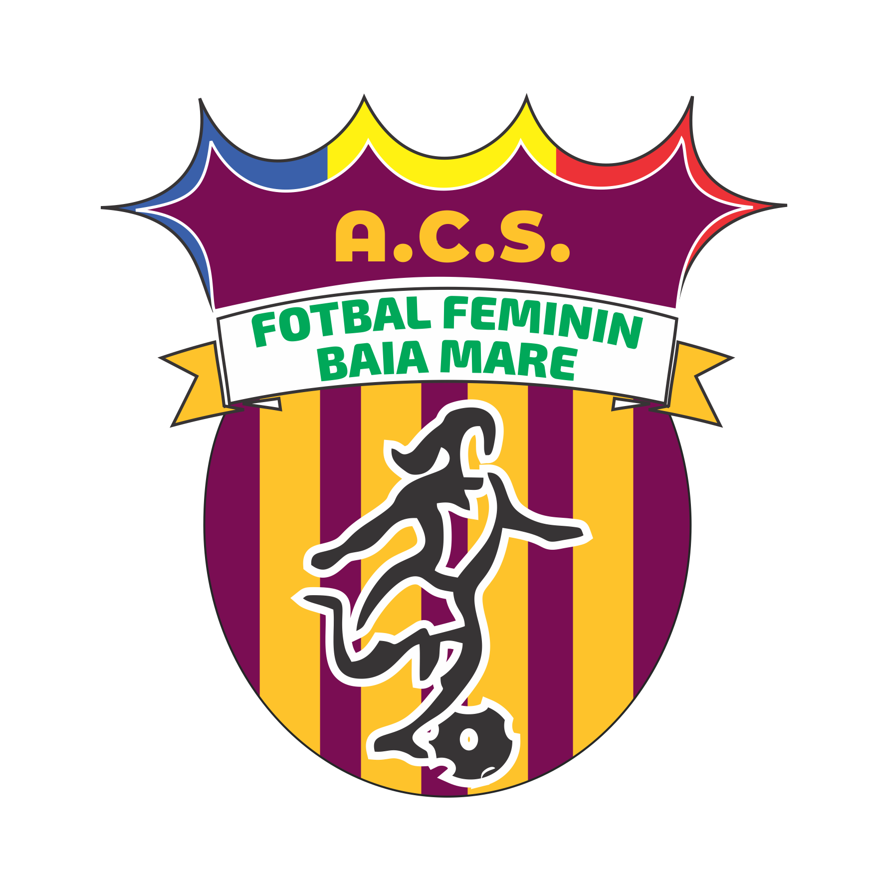 ACS FOTBAL FEMININ BAIA MARE